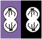 Cytotoxic products - purple and/or black 